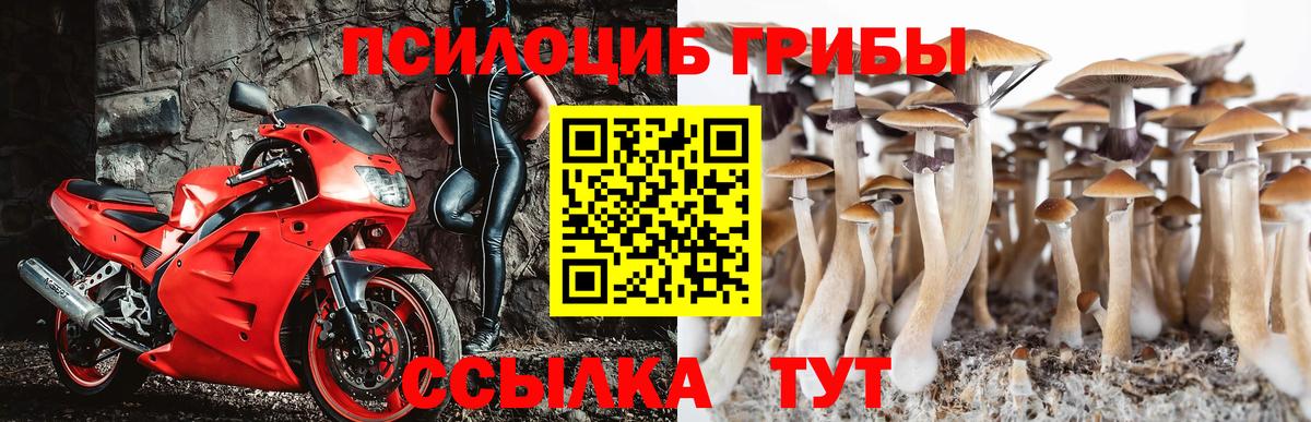 Псилоцибиновые грибы MAGIC MUSHROOMS Кыштым