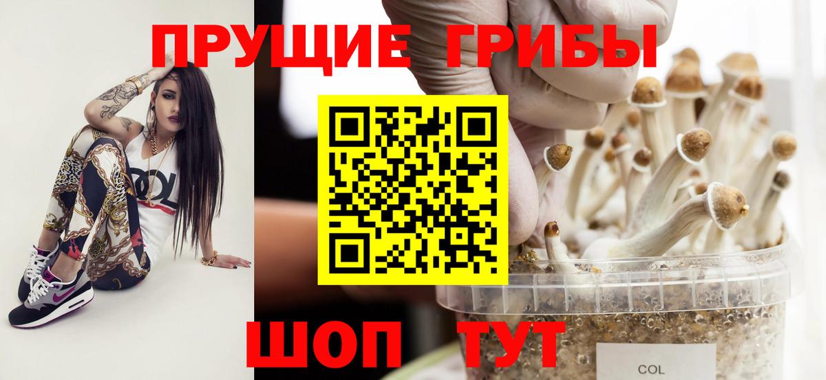 Галлюциногенные грибы Cubensis  Вход с VPN  Галлюциногенные грибы Psilocybine cubensis  Кыштым 